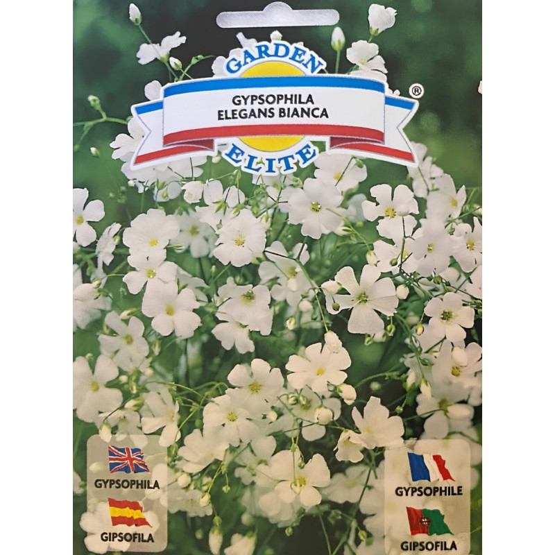 Semillas de Gipsofila | Flor Velo de Novia | Coltivare