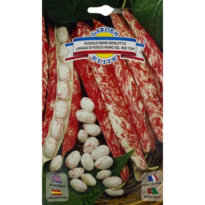 Semillas de fréjol nano red top | Variedad Productiva
