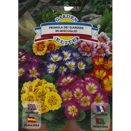 Semillas de Primavera | Color para tu Jardín | Coltivare