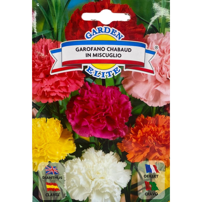 Semillas de Clavel Variado | Mezcla de Colores Vibrantes