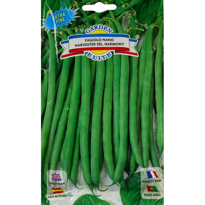 Vainitas verdes, tiernas y recién cosechadas, perfectas para sembrar nuestras semillas de calidad premium.