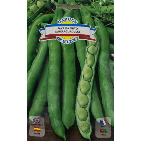 Habas Superaguadulce -semillas