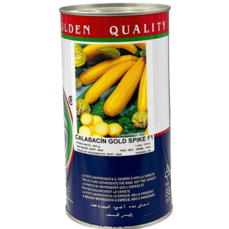 Semillas de Calabacín Amarillo | Variedad Gourmet