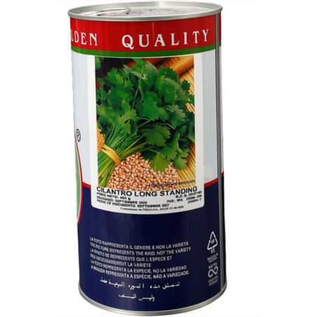 Semillas de Cilantro | Hierba Aromática Fresca