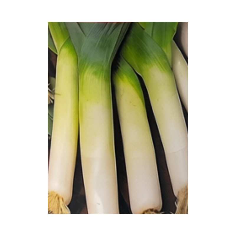 Semillas de Puerro | Sabor Suave y Cultivo Versátil