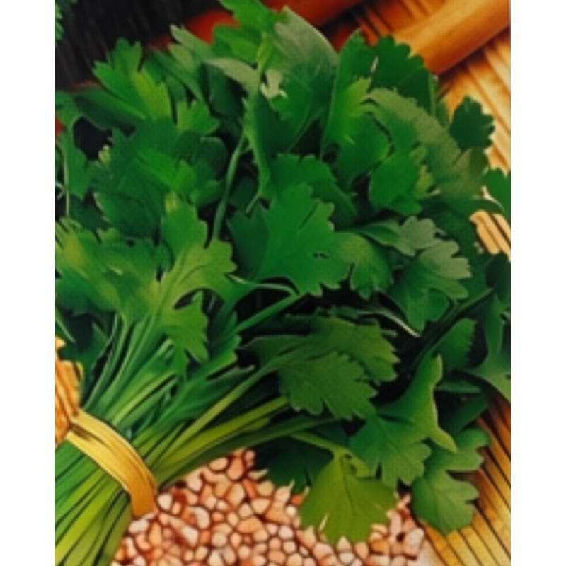 Semillas de Cilantro | Hierba Aromática Fresca