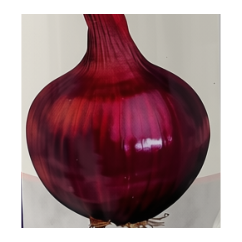 Cebolla Red Creole | Variedad de Alta Resistencia