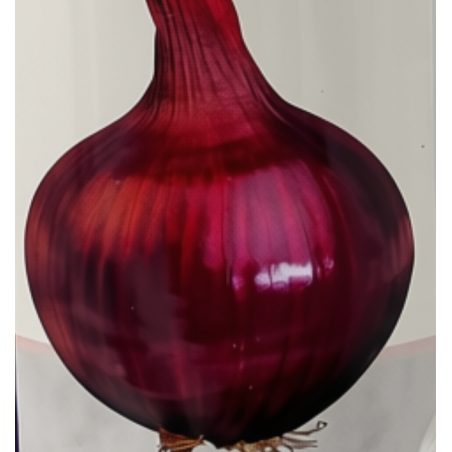 Cebolla Red Creole | Variedad de Alta Resistencia