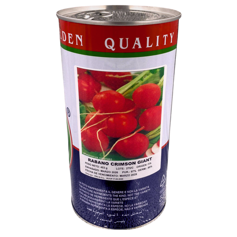 Rábano Burro Gigante -semillas