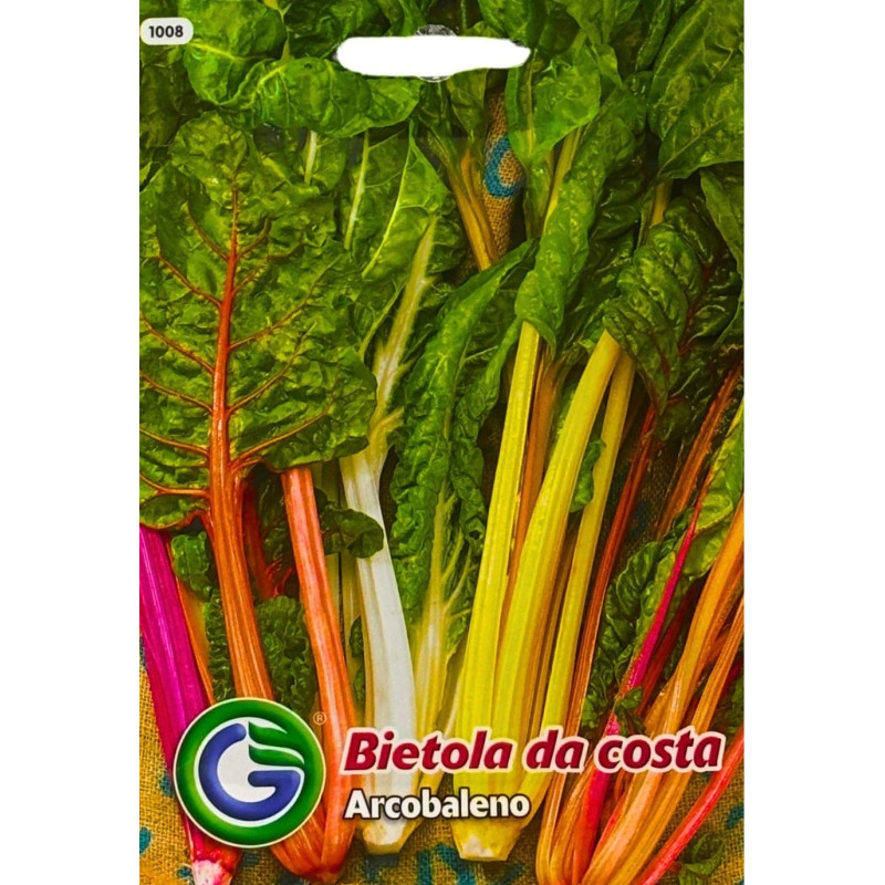 Acelga de colores - semillas