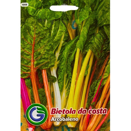 Acelga de colores - semillas