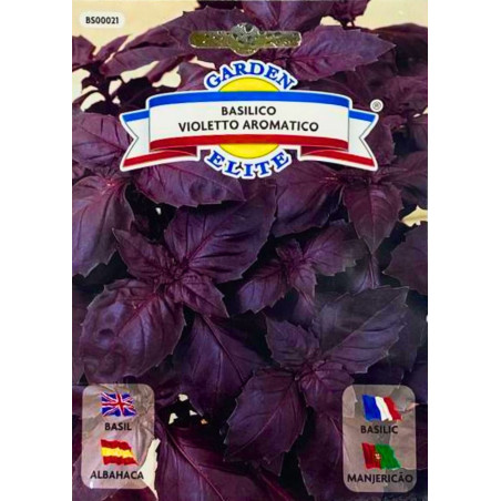 Albahaca morada -semillas