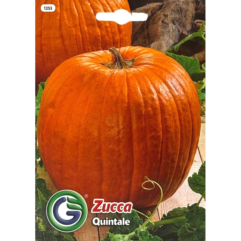 Calabaza -semillas