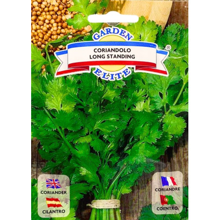Cilantro -semillas