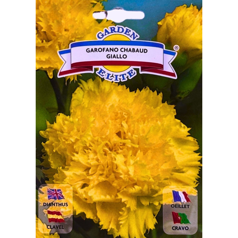 Clavel amarillo -semillas