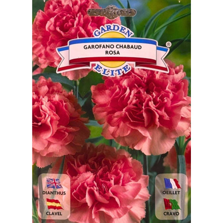 Clavel rosado -semillas