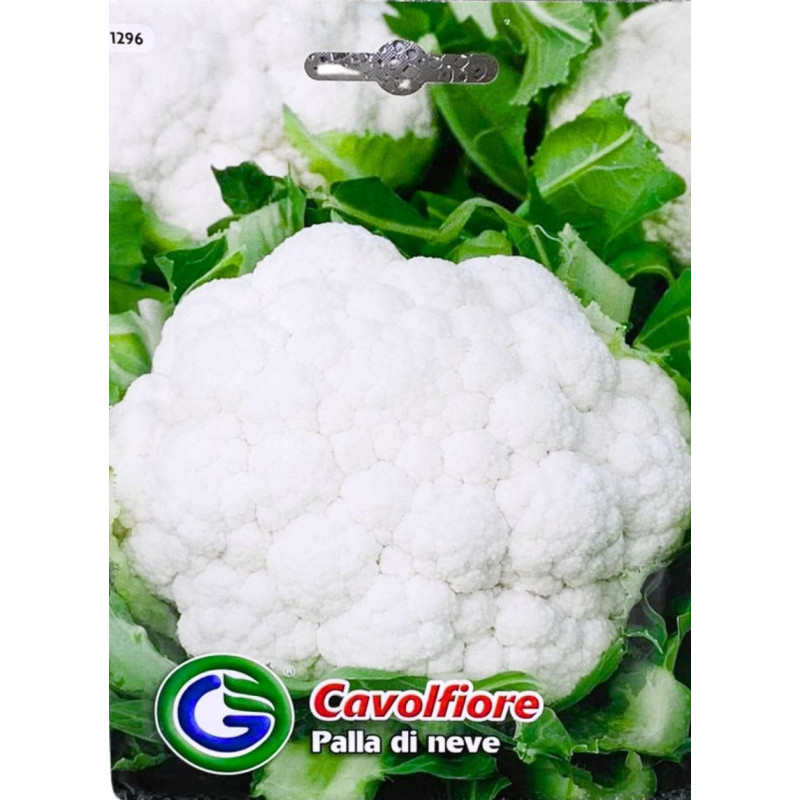 Coliflor Palla di Neve -semillas
