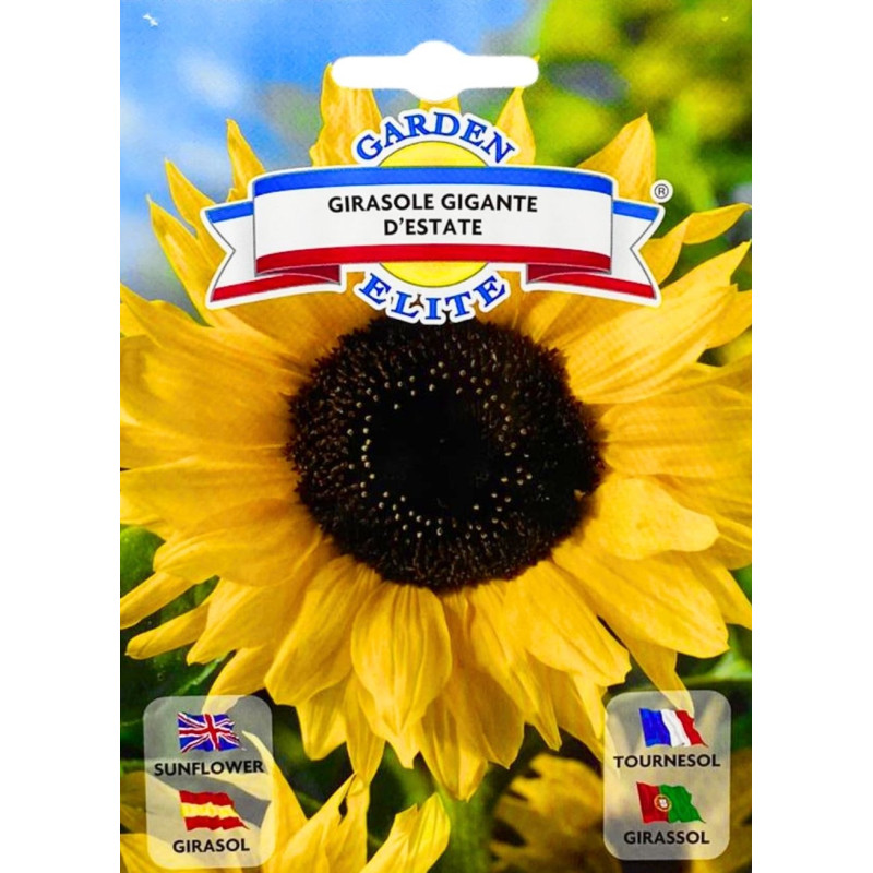 Girasol Gigante -semillas