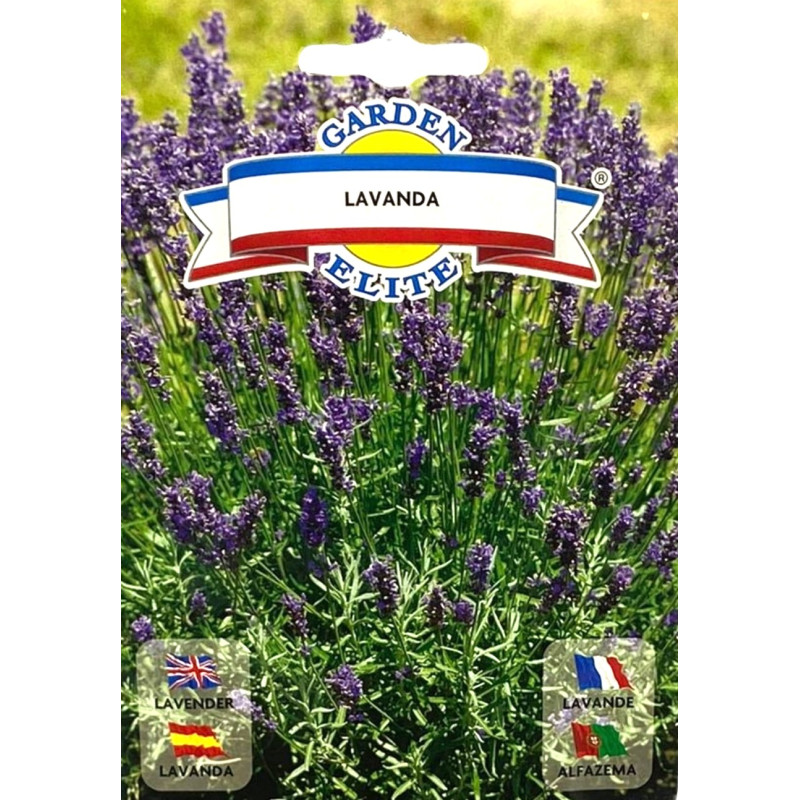 Lavanda -semillas