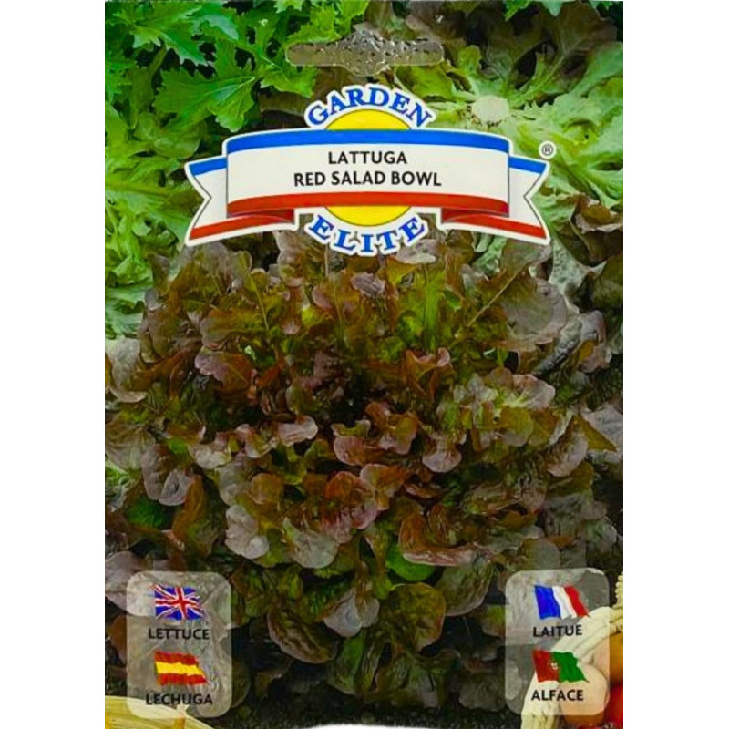 Lechuga Red Salad Bowl  -semillas