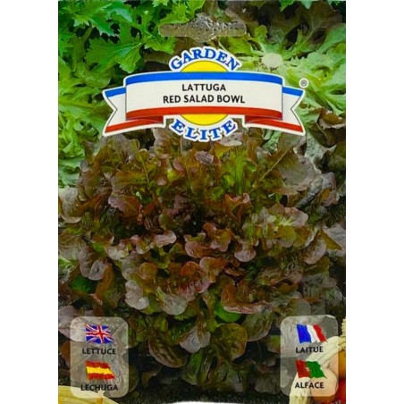 Lechuga Red Salad Bowl  -semillas