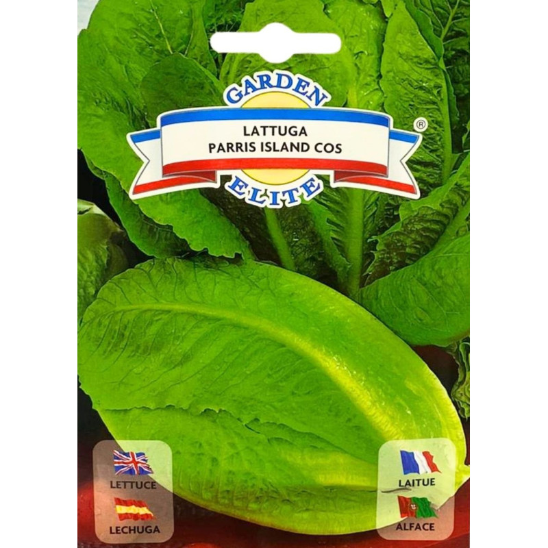 Lechuga Romana -semillas