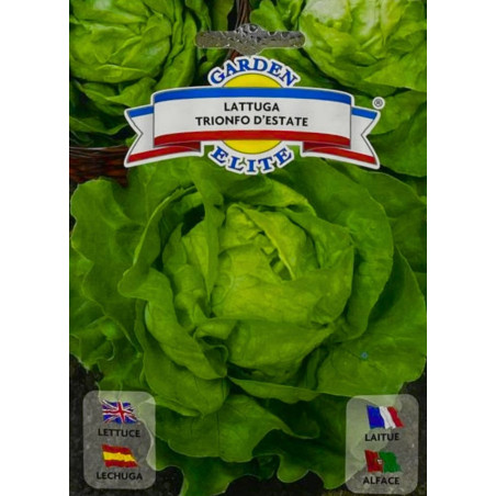 Lechuga Trionfo d'Estate  -semillas