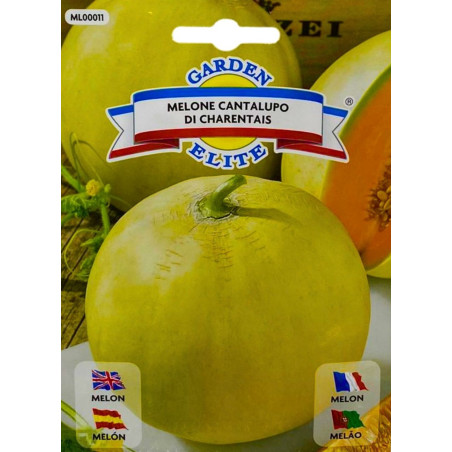 Melón -semillas
