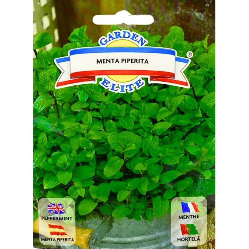 Menta -semillas
