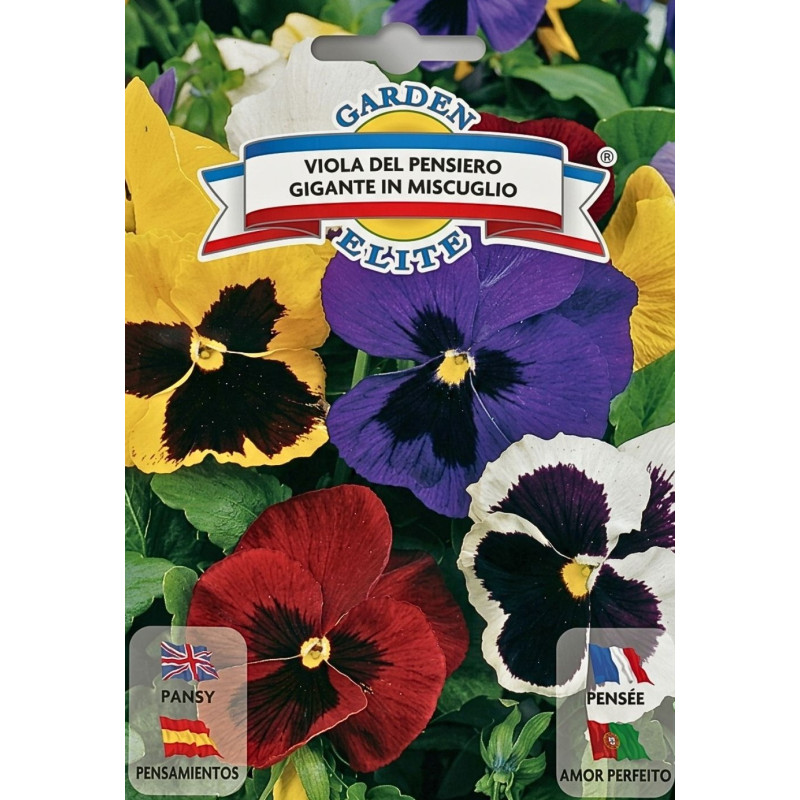 Pensamiento varios colores -semillas