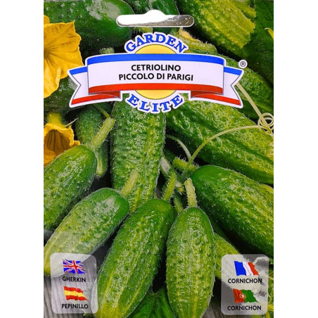 Pepinillo Piccolo  -semillas