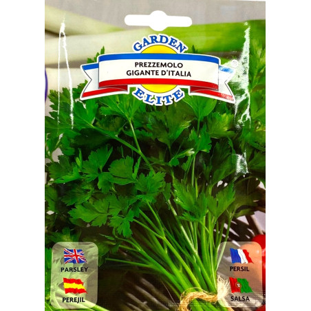 Perejil Gigante -semillas