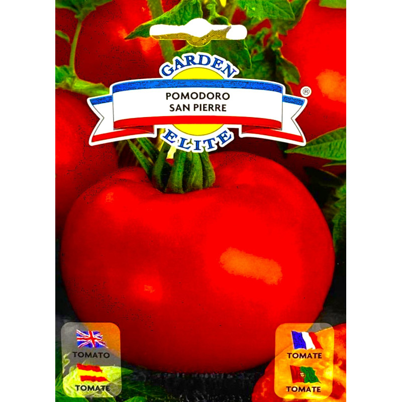 Tomate San Pierre -semillas