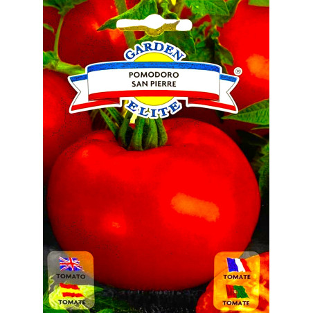Tomate San Pierre -semillas
