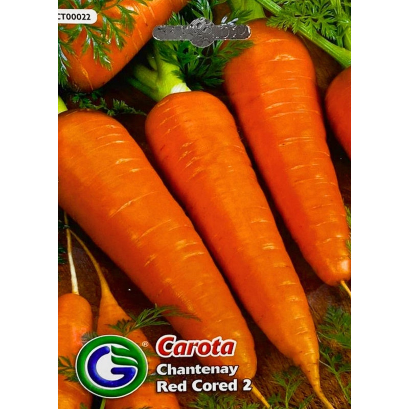 Zanahoria Chantenay  -semillas