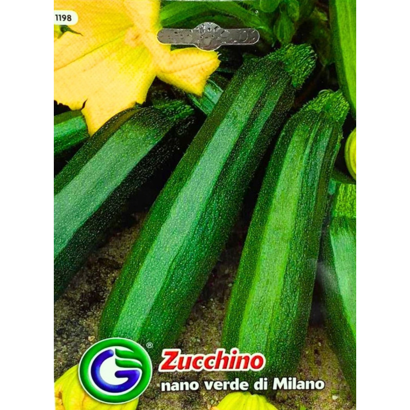 Zuquini Nano Verde di Milano -semillas