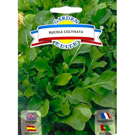 Rúcula cultivada -semillas