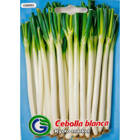 Cebolla blanca Kyoto Market
