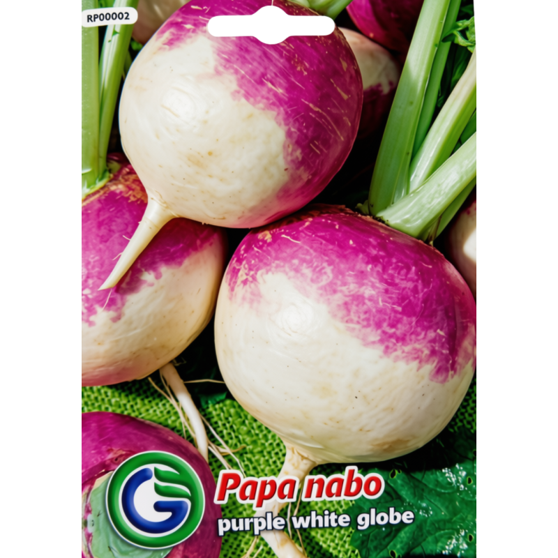 Papa Nabo