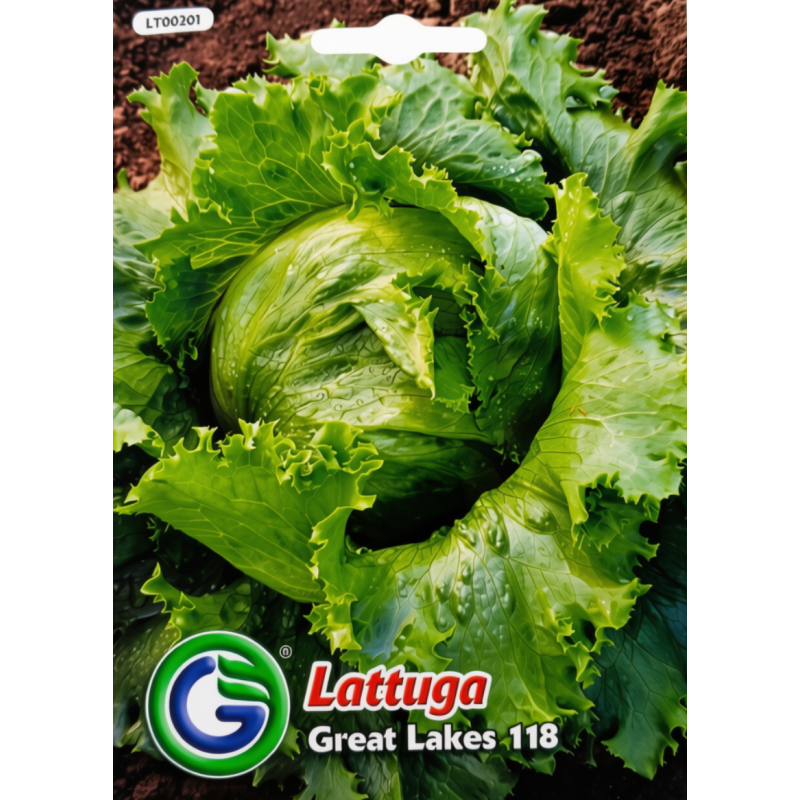 Lechuga Great lakes 118