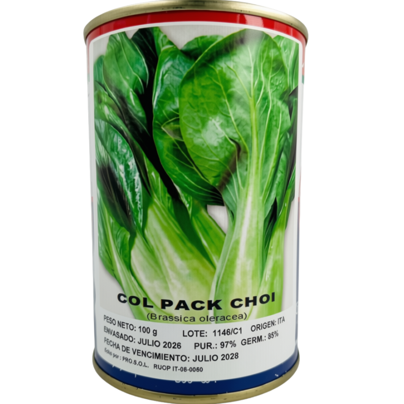 Pack Choi