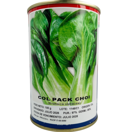 Pack Choi
