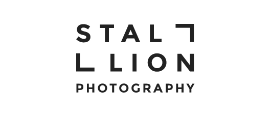 logo-stallion.png